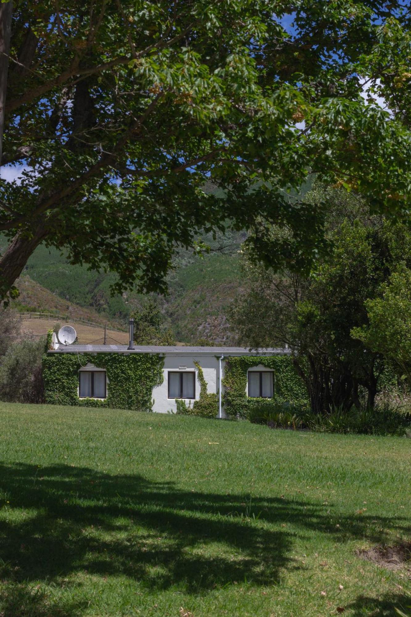 Three Streams Cottage Franschhoek Extérieur photo