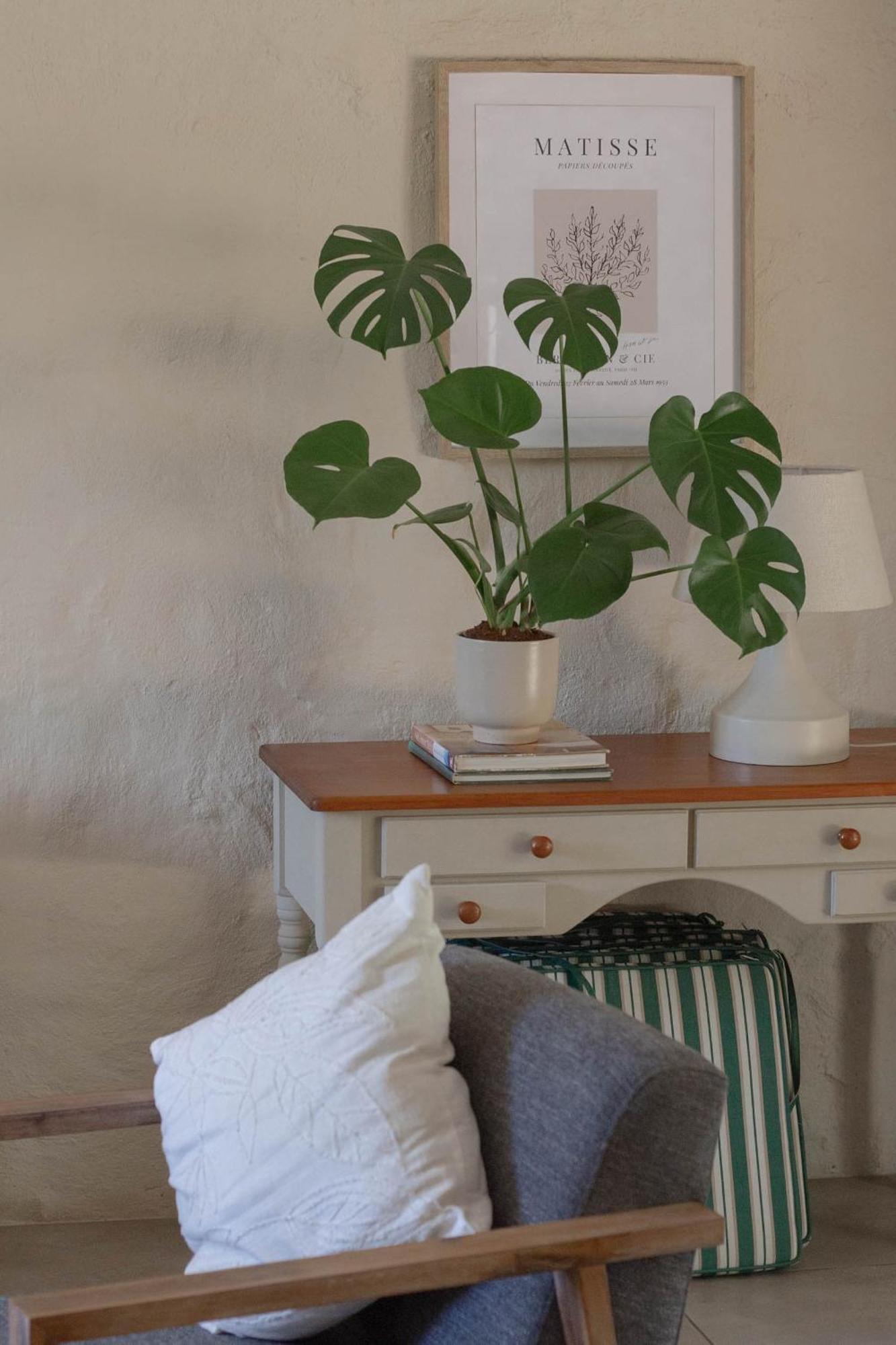 Three Streams Cottage Franschhoek Extérieur photo